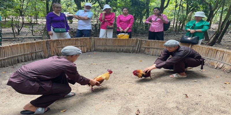Đá gà miền Tây