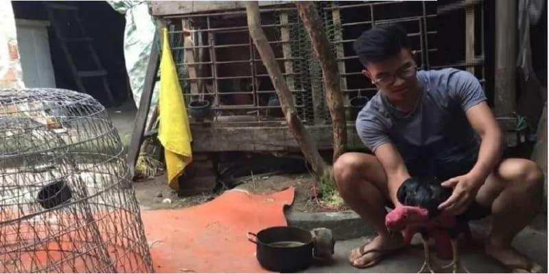 Đá gà Mộc Bài