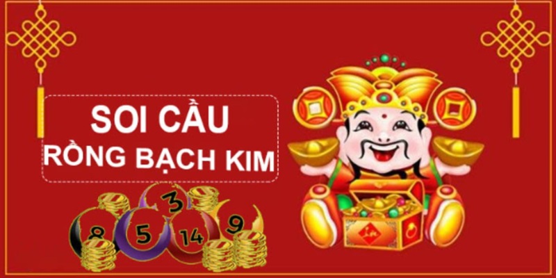 Top các con dữ liệu tiềm năng được website thống kê