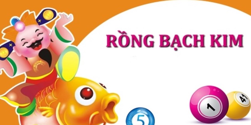 Mọi thông tin cơ bản về Rongbachkim bạn cần biết