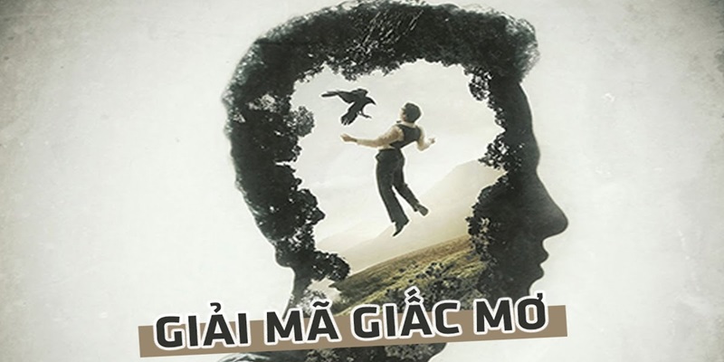 Giải mã giấc mơ