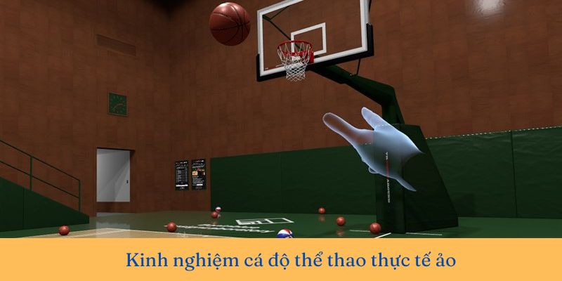 Kinh nghiệm chơi cá độ thể thao VR thực tế ảo